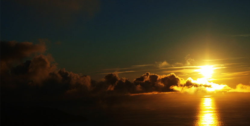 hacer, realizar, votar, cenizas, las cenizas, nuestro ser, ser querido, ser